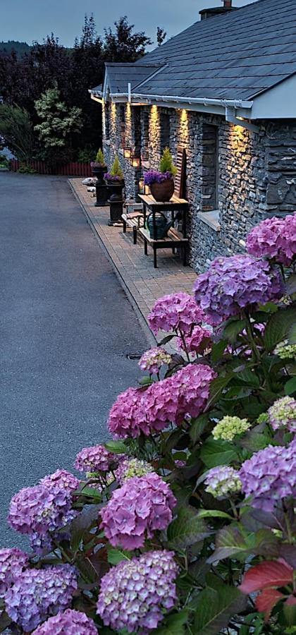 Kenmare Driftwood Bed & Breakfast ภายนอก รูปภาพ
